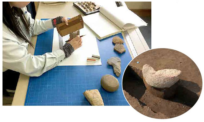 埋蔵文化財発掘