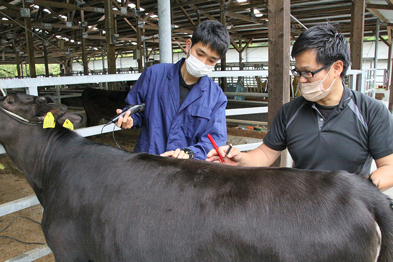 日本有数の畜産王国